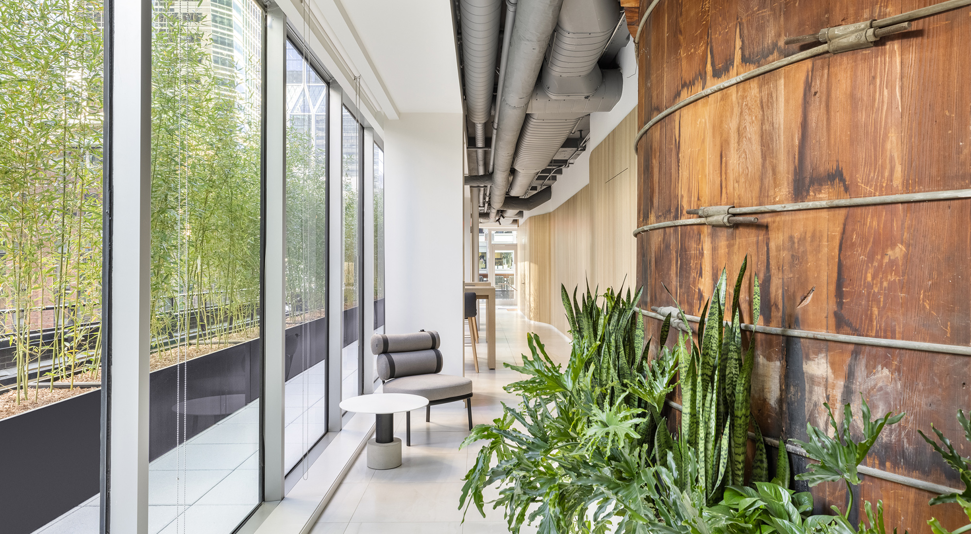 A hallway that nestles small, private work spaces and live plants